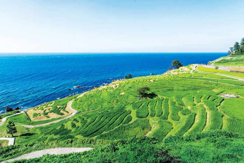 ruộng bậc thang ruộng bậc thang